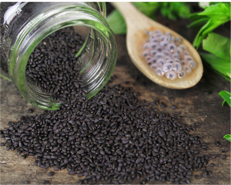 BASIL SEEDS (TUKMARIA)