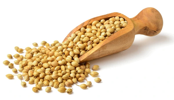 CORIANDER SEEDS (DHANIA SABUT) A GRADE