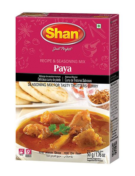 SHAN PAYA